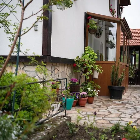 Rossy Guest house *